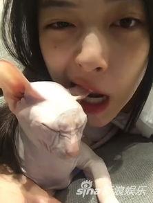 娱乐吃瓜酱虐猫,真相与反思